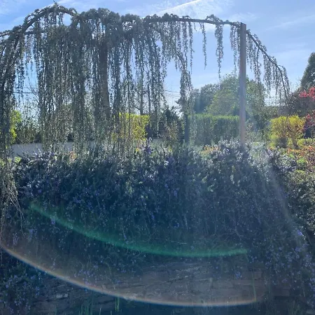 La Grenouillere * Caussade