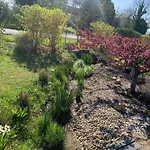 La Grenouillere * Caussade