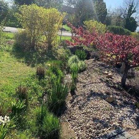 La Grenouillere * Caussade