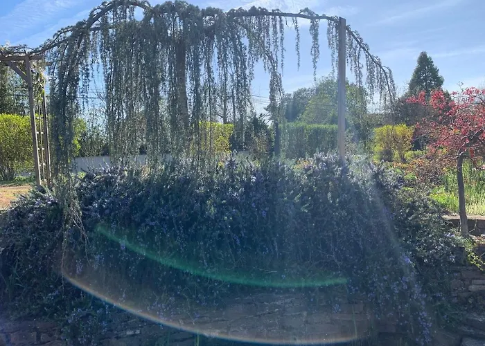 La Grenouillere * Caussade