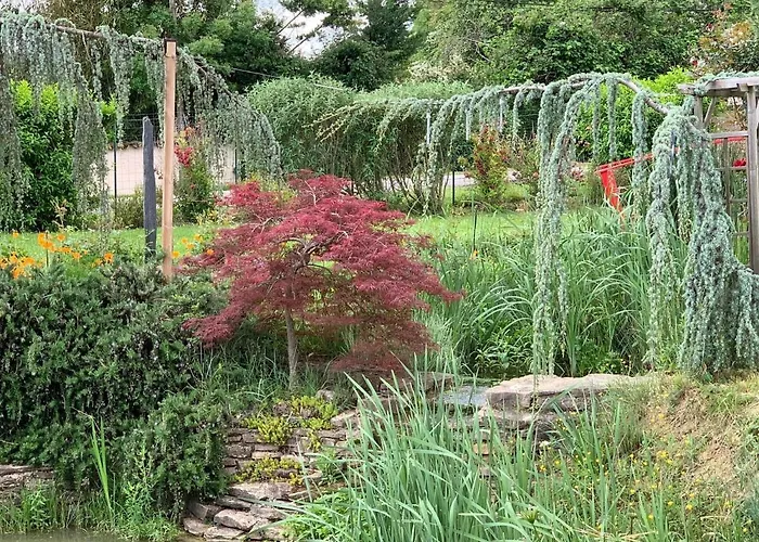 La Grenouillere * Caussade